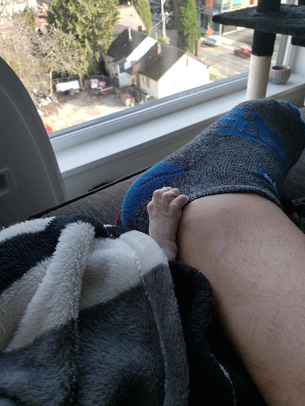 17. Мой сфинкс любит иногда меня пугать