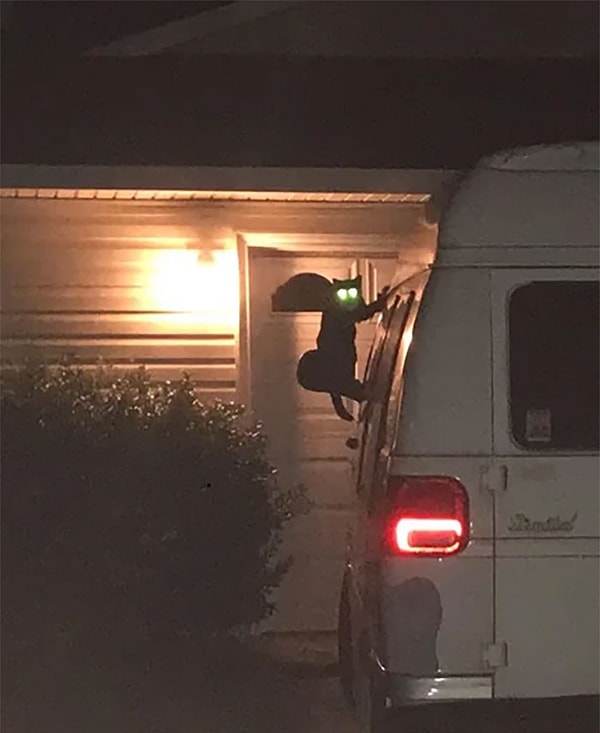 22. Чертенок