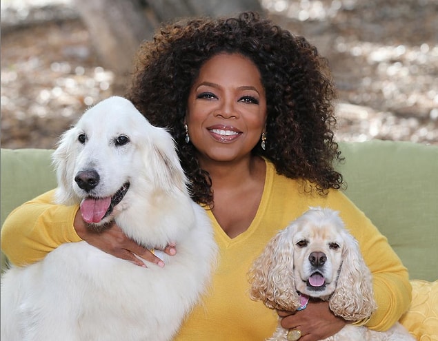 Oprah, uyumadan önce o gün içinde minnettar olduğu 5 şeyi günlüğüne yazıyor ve bunun onun için günün en güzel zamanı olduğunu anlatıyor. Uykunun önemli olduğunu ve kendisine 5-6 saatlik bir uykunun yettiğini belirtiyor.