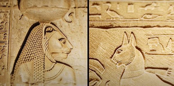 Eski Mısır'da kediye duyulan ilgi bir süre sonra saplantı haline geldi. İnsanlarla birlikte gömülmeleri için kedi yetiştiren iş kolları mevcuttu.