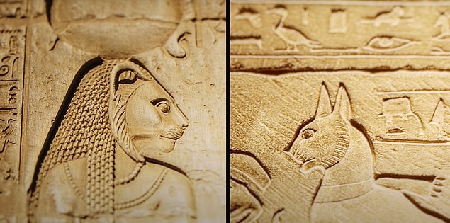 Eski Mısır'da kediye duyulan ilgi bir süre sonra saplantı haline geldi. İnsanlarla birlikte gömülmeleri için kedi yetiştiren iş kolları mevcuttu.