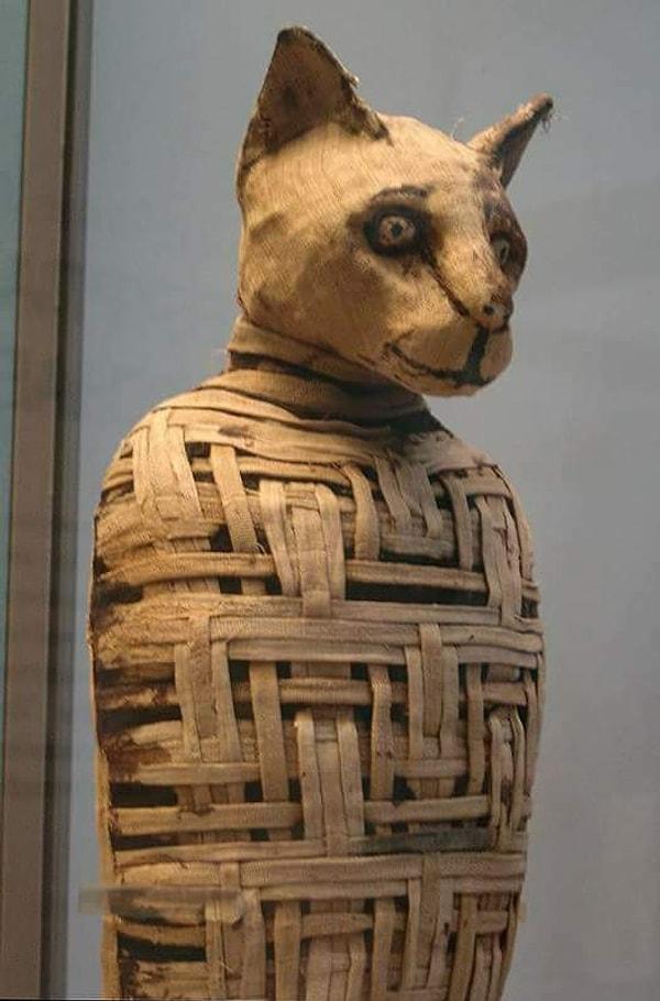 Antik Mısırlılar ve kedi arasındaki bir acayip ilişki halen araştırılmaktadır.