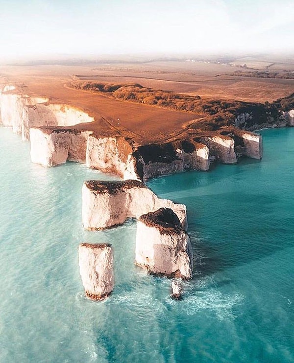 10. Терра-Мису