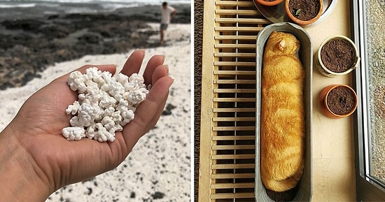 20 примеров несъедобных предметов, которые очень вкусно выглядят на первый взгляд (Новые фото)