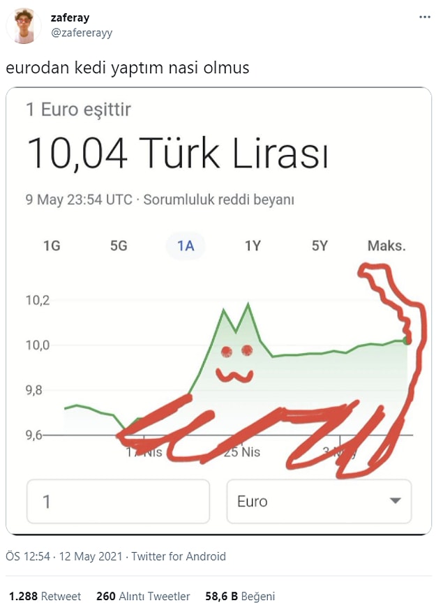 15. Sinirli bi kedi herhalde.