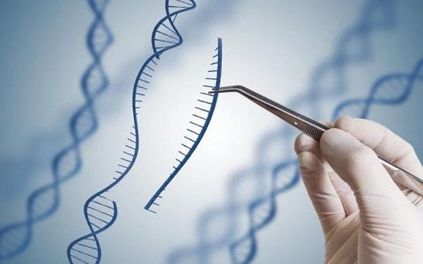 ''DNA üzerinde ameliyat yapabilme teknolojisi'' olarak nitelendirilen bu sistem, Fransız mikrobiyolog Emmanuelle Charpentier ve ABD'li biyokimyacı Jennifer A. Doudna tarafından geliştirildi.