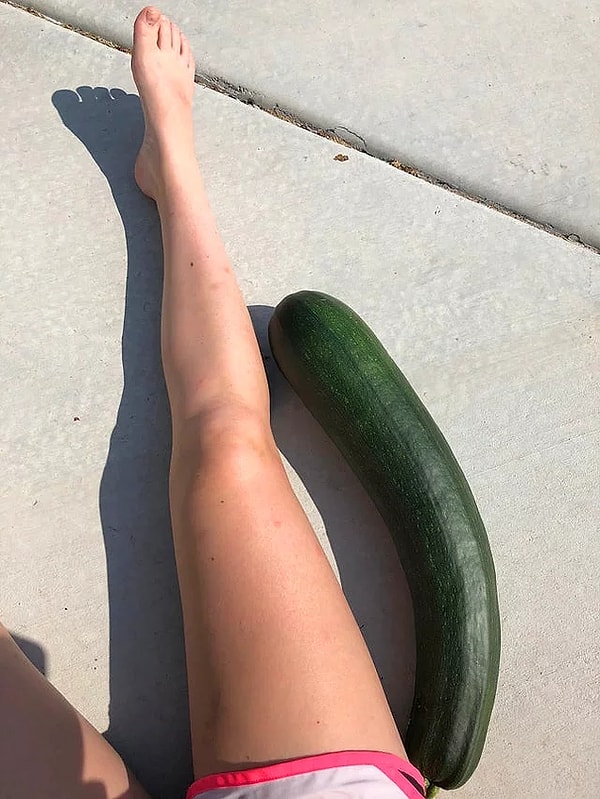 15. «Кабачок размером с мою ногу вырос в моем саду».