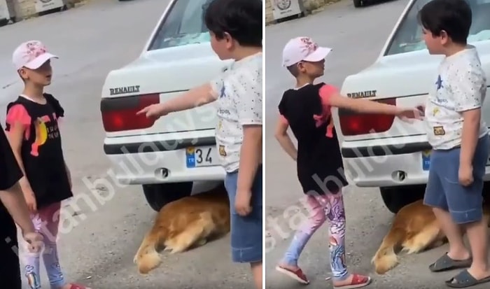 'Senin Köpeğin Diye Canını Yakamazsın' Diyerek Köpeğin Kuyruğuna Basan Arkadaşına Kızan Ufaklık