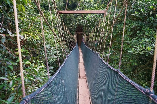 18. Kanopi Geçidi - Ranau, Malezya