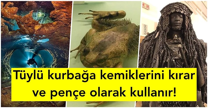 Bugün de Öğrendik! Dünyaya Bakış Açınızı Tamamen Değiştirecek Birbirinden İlginç 21 Bilgi