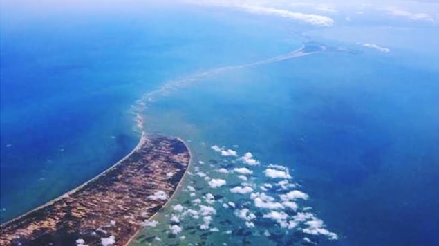 1. Hindistan ve Sri Lanka yüzyıllar önce kara bağlantısı ile bağlıydı.