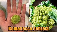 Yararları Saymakla Bitmeyen ve Çok Az Kişinin Bildiği Sağlıklı Bir Lezzet: Romanesco Sebzesi