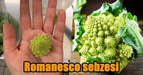 Yararları Saymakla Bitmeyen ve Çok Az Kişinin Bildiği Sağlıklı Bir Lezzet: Romanesco Sebzesi