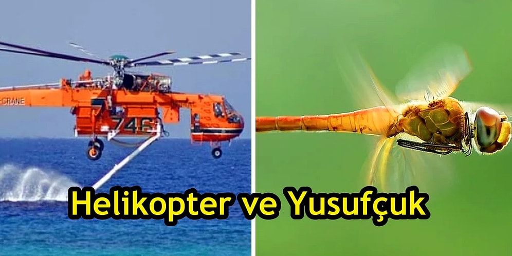 Teknolojinin Doğadan İlham Alarak Geliştirdiği Biyomimetik Biliminden 24 Çarpıcı Örnek