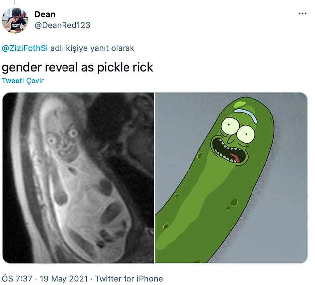 Cinsiyetinin Turşu Rick olduğu ortaya çıktı.