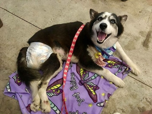 Она была парализованной, потому что ее избили и связали