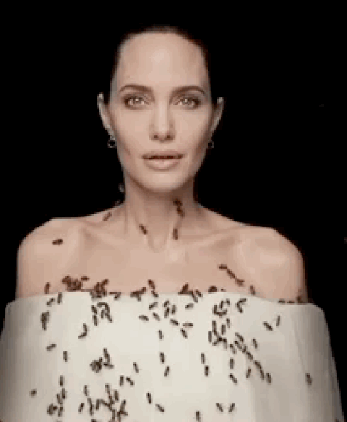Angelina Jolie Dünya Arılar Gününde Verdiği Pozlarla Gündeme Bomba Üzere Düştü!