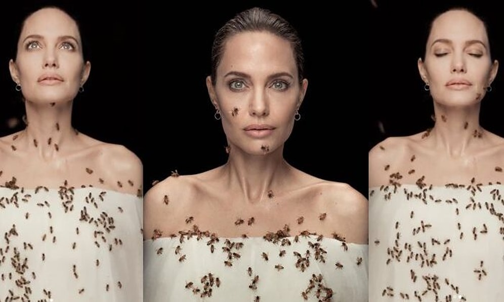 Angelina Jolie, 'Arılar Günü'nde Arılarla Objektif Karşısına Geçti