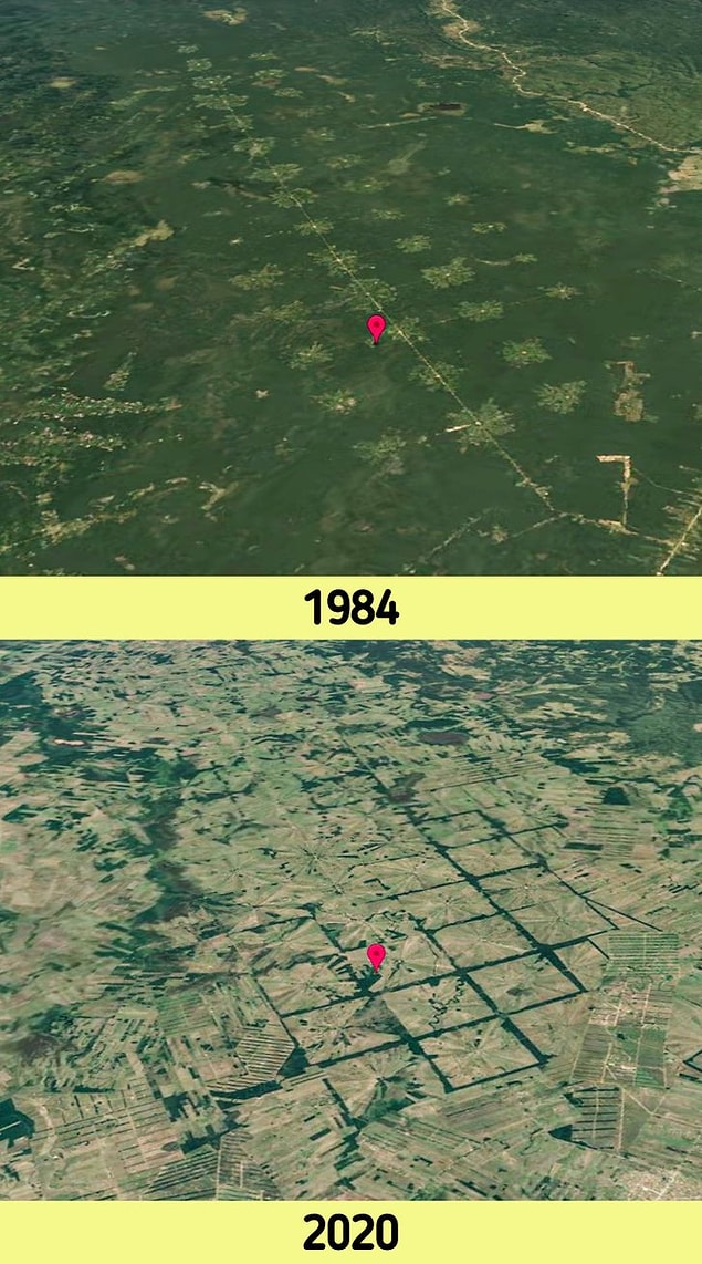 3. Ormanların kesilerek yok edilmesi; Bolivya'da bulunan San Julián'da soya fasulyesi yetiştiriciliği