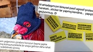 Kaliteli Mizahıyla Bol Kahkahaya Sebep Olmuş Gelmiş Geçmiş En İyi 24 Tweet