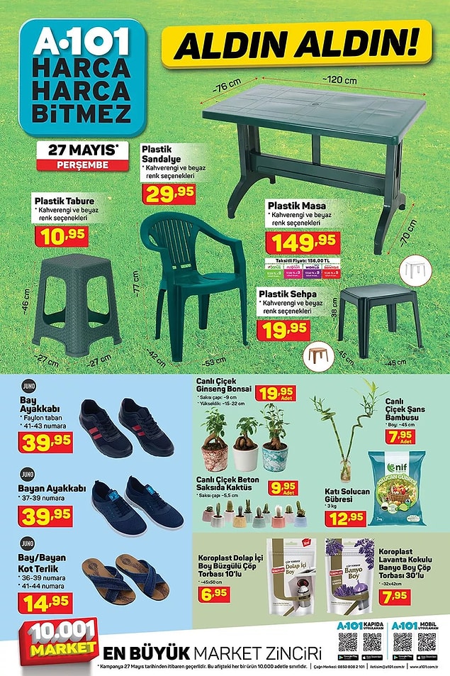 Beton saksıda canlı kaktüsler 9,95 TL.