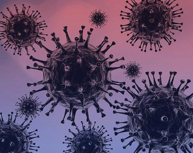Uzmanlar şu anda CCoV-HuPn-2018 adlı yeni koronavirüs türünün insanları hasta edip etmediğini araştırıyor.