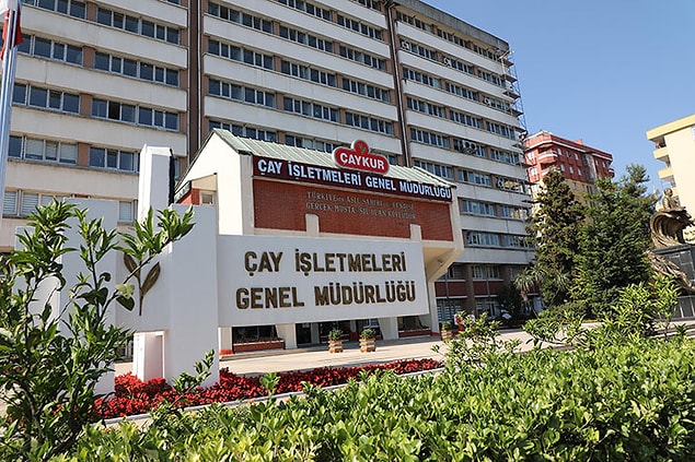 "Bakımı ve yetiştirilme zorluğu nedeniyle üretici tarafından kabul görmemiştir"