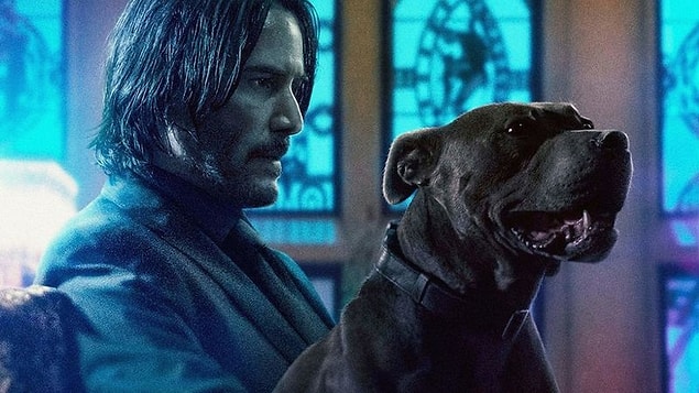 3. Köpekler