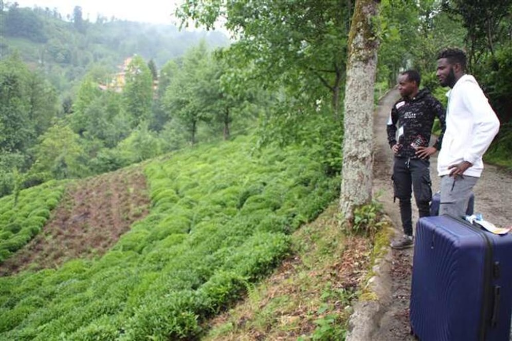 Türkiye'ye Futbolcu Olmak İçin Gelmişlerdi: Afrikalı İşçiler Çay Hasadı İçin Rize'de
