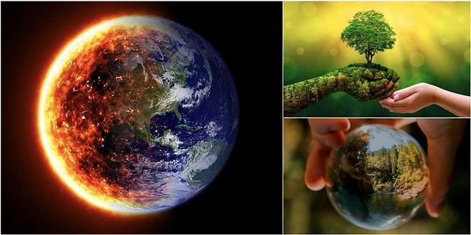 Bu Gezegen Yalnızca Bizim Değil: Dünya Üzerindeki Ekolojik Denge İle İlgili 10 Bilgi