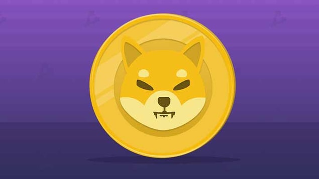 Nisan ortasında fiyatı 0,0000006 dolar olan bu coin, Mayıs ortasında 0,00003026 dolar seviyesini gördü.