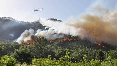 Yangın Sezonu Açıldı... Antalya'da 3 Günde 80 Dekar Orman Kül Oldu