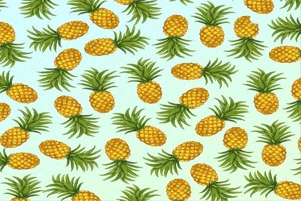10. Son olarak farklı olan ananası bulabildin mi?