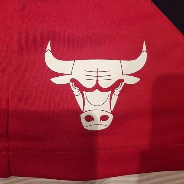 21. "Chicago Bulls'un logosunu ters çevirirseniz bir robot bir yengeçle ilişkiye giriyormuş gibi görünüyor."