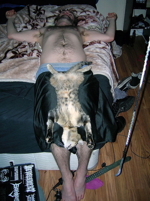 10. Зашла я значит в комнату, а там такая картина