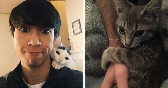 15 «бесстыжих» домашних животных, которые похитили партнеров своих хозяев и даже не жалеют об этом (Новые фото)