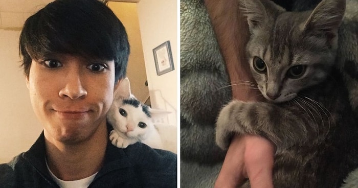 15 «бесстыжих» домашних животных, которые похитили партнеров своих хозяев и даже не жалеют об этом (Новые фото)