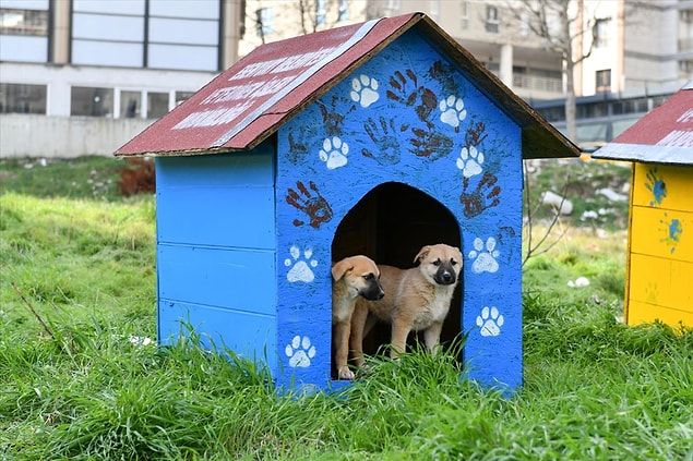 5. Geri dönüşüm malzemeleriyle oluşturulmuş köpek kulübesi