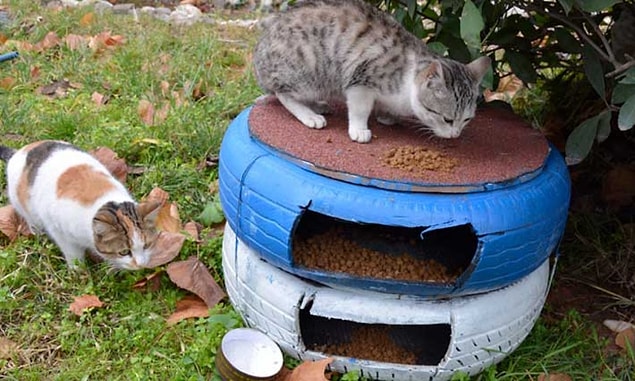 1. Eski lastiklerden kedi evi