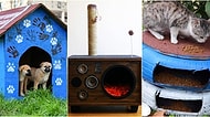 Minik Dostlarımız da Çevreye Katkı Sağlıyor: Geri Dönüşümle Oluşturulmuş 7 Kedi ve Köpek Evi
