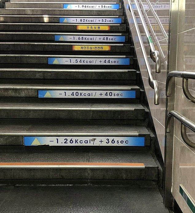 19. "Seomun Pazarı'nda bulunan bu merdiven, her basamakta kaç kalori yaktığınızı ve hayatınızı ne kadar uzattığınızı gösteren tabelalarla dolu."