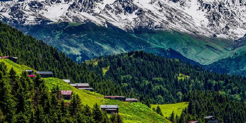 Bu Yaz Hangi Karadeniz Yaylasını Görmelisin?