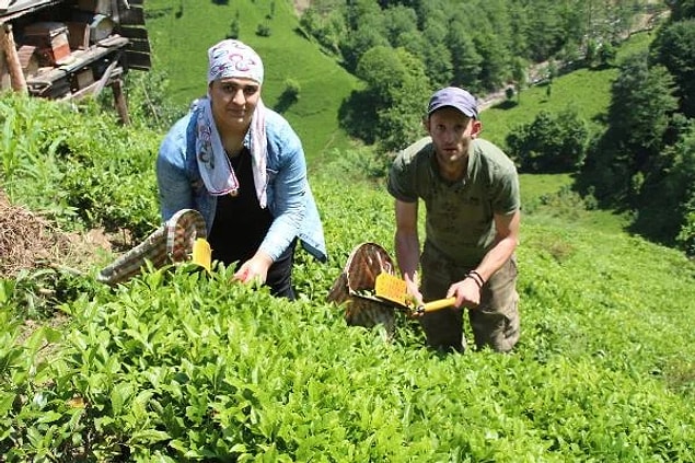 Tam 1 Yıl Ayrı Kaldılar