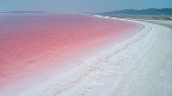 1. Yılın belli zamanlarında pembe renge bürünen Türkiye'nin ikinci büyük gölü hangisidir?
