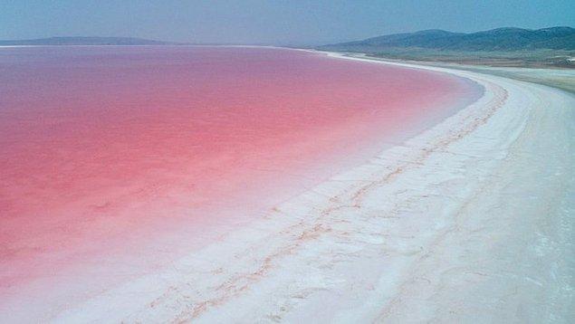 1. Yılın belli zamanlarında pembe renge bürünen Türkiye'nin ikinci büyük gölü hangisidir?
