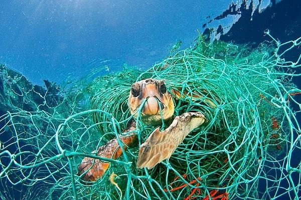 Denizleri, okyanusu ve tüm su birikintilerini kirleten bir diğer şey de tamamen biziz: Biz ve atıklarımız.