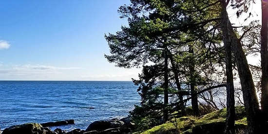 Sen Daha Çok Yeşile mi Aşıksın Yoksa Maviye mi?