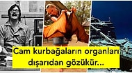 Daha Önce Hiçbir Yerde Görmediğiniz Birbirinden İlginç 20 Bilgi