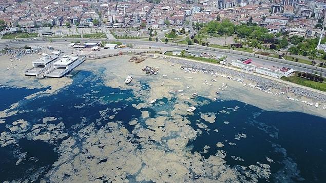 Gelelim müsilaj meselesine... Hidrobiyolog Levent Artüz, bunun bir olay değil, bir zincir, bir sonuç olduğunu söylüyor ve Marmara Denizi'nin 1989 yılında öldüğünü dile getiriyor.