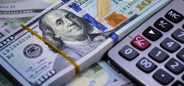 'Bu yıl Dolar/TL kuru 10'u görebilir'